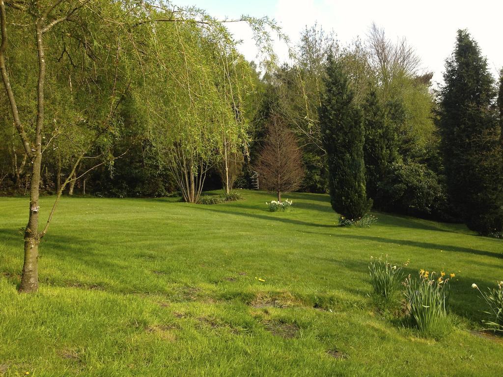 בזלאו Robin Hood Farm B&B מראה חיצוני תמונה
